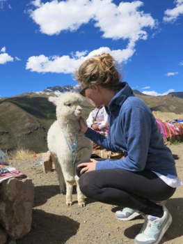 Colca Canyon - Ontmoeting met een baby Alpaca maakt je vrolijk