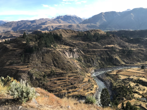 Colca Canyon