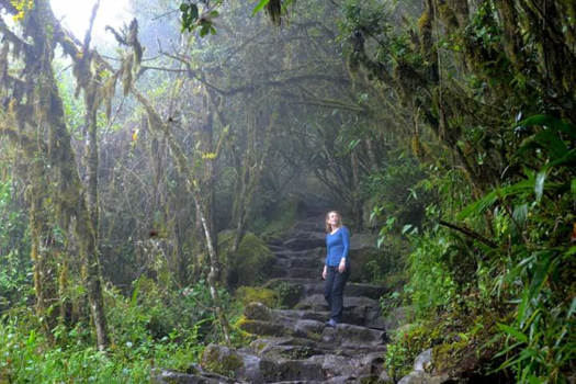 Machu Picchu - De jungle bij Machu picchu is zo gaaf.