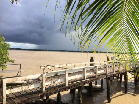 Suriname - Suriname rivier
