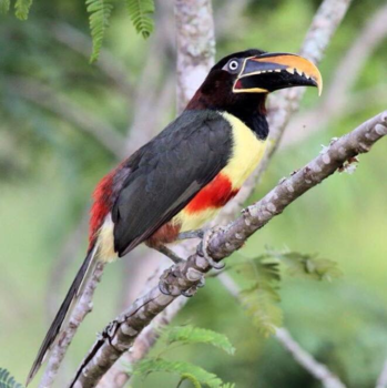 Rondreis Brazilië en Argentinië - Argentinie