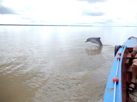 Rondreis hoogtepunten Suriname - Natuurlijk Suriname