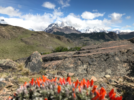 El Chaltén - Mooie uitzichten