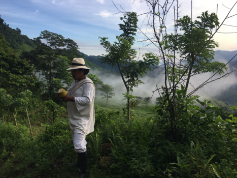 Colombia - Gids