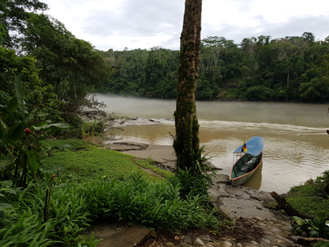 Tena - Uitzicht vanuit onze junglelodge in Ecuador