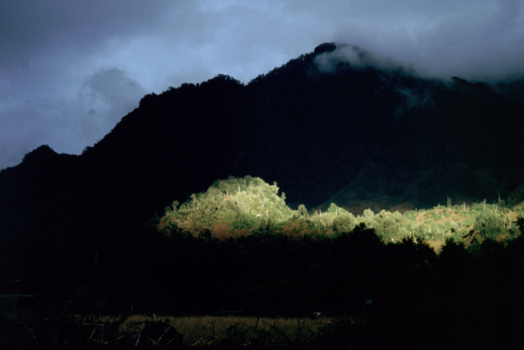 Chili - Na regen kwam zonneschijn in Pueyehue Nationaal Park