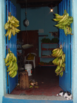 Venezuela - Merida