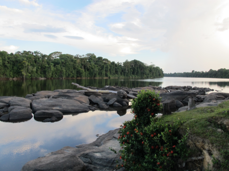 Boven Suriname - Diep in de amazone van Suriname