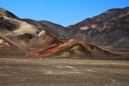 Peru - omgeving Chauchilla cemetery
