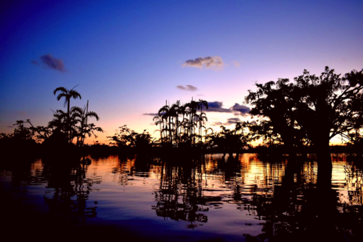 Ecuador - Amazone Sunset