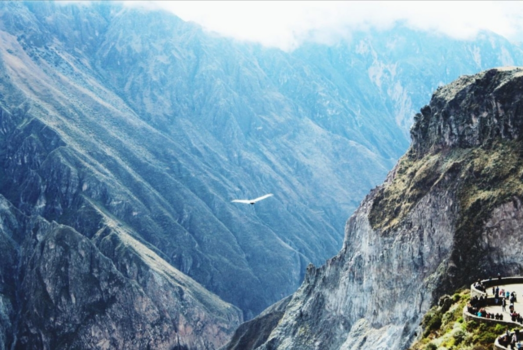 Peru - The flying condor