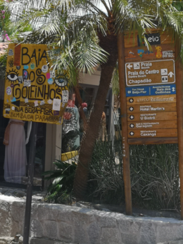 Brasilia - Colorfull