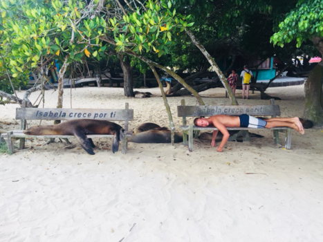 Galápagos eilanden - Living the Galápagos life.