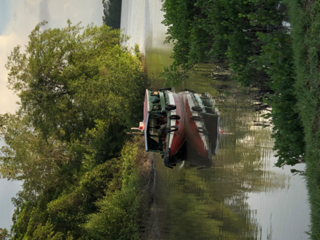 Rondreis hoogtepunten Suriname - Avond bij de Suriname rivier