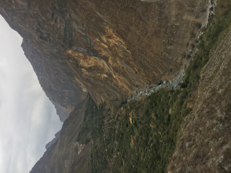 Peru - Colca Canyon