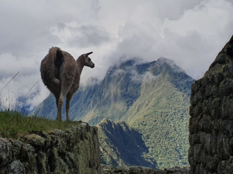 Peru - Samenvatting van het prachtige Peru in 1 foto: