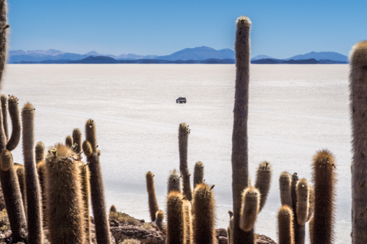 Rondreis Peru en Bolivia - De zoutvlakte van Uyuni