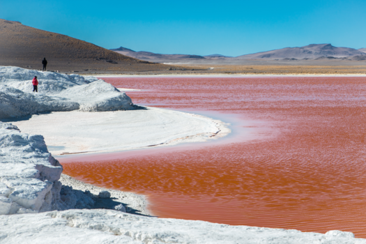 Rondreis Peru en Bolivia - Dieper in Bolivia, borax