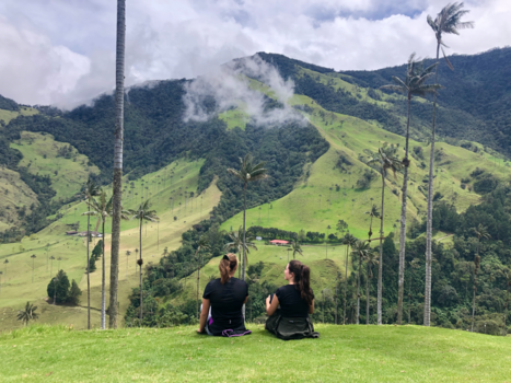 Valle de Cocora - Genieten van het prachtige Colombiaanse landschap.