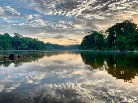 Rondreis Palumeu en Awarradam - ‘In de wolken’