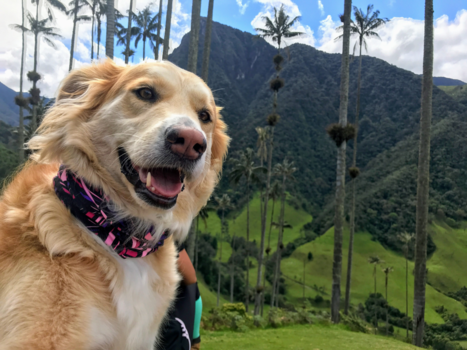 Colombia - Coco @ Colombia