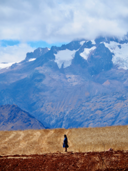 Peru - Op eenzame hoogte