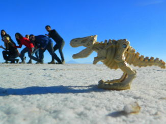 Salar de Uyuni - Op de vlucht