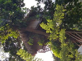 Cartagena - Boomhut naast tayrona nationale park,  colombia