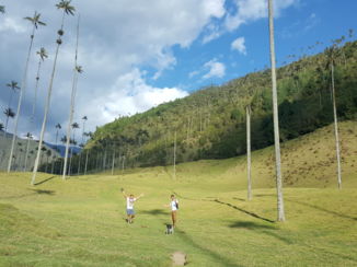 Cartagena - Valle de cocora!!