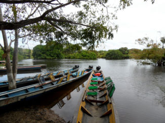 Amazonebekken - Het begin van de Pampus tour