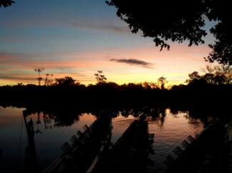 Amazonebekken - Zonsondergang in de jungle