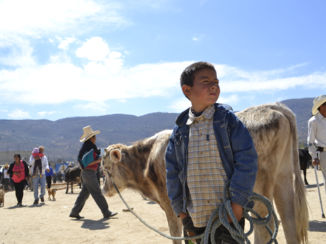 Peru - Op de veemarkt in Celendin