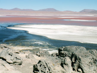 Bolivia - Laguna Colorada Potosi