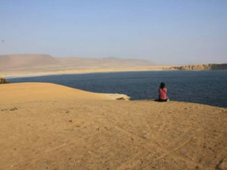 Peru - Paracas NP