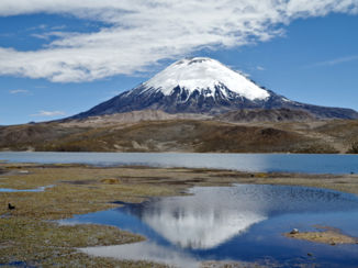 Chili - vulkaan Parinacota in NP Lauca