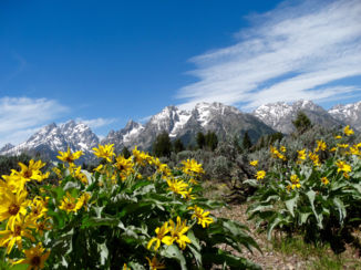 Tioga Tours - Korte zomer