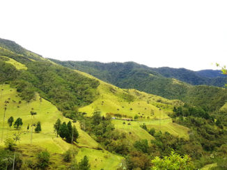 Colombia - Cocora vallei