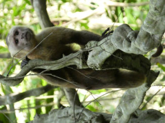 Colombia - Tayrona NP