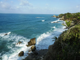 Colombia - Tayrona NP