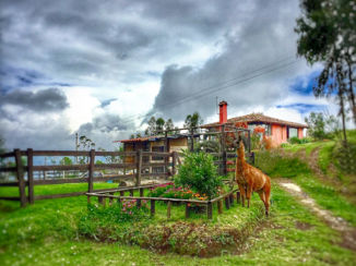 Ecuador - King of the Andes