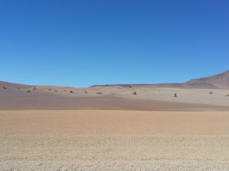 Bolivia - Dali dessert