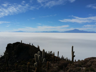 Bolivia - Incahuasi island
