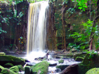 Paramaribo - Suriname