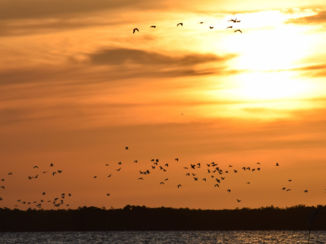 Bigi Pan - Zonsondergang