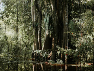 Peru - Amazon, Iquitos