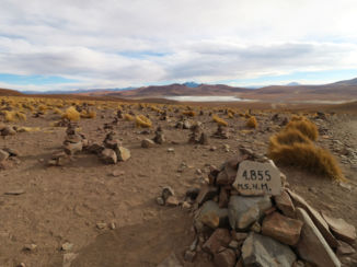 Laguna Colorada - Laguna Morejon
