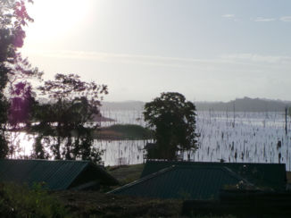 Brokopondo stuwmeer - Brokopondomeer vanaf Ston Island
