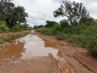 Bolivia - Bustocht naar een dorpje in de binnenlanden.