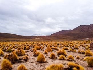 Bolivia - landscape uyuni tour
