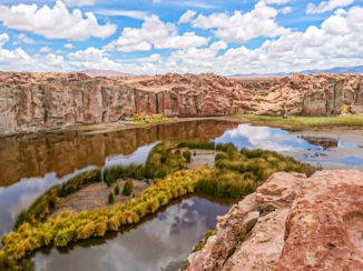 Bolivia - lama valley